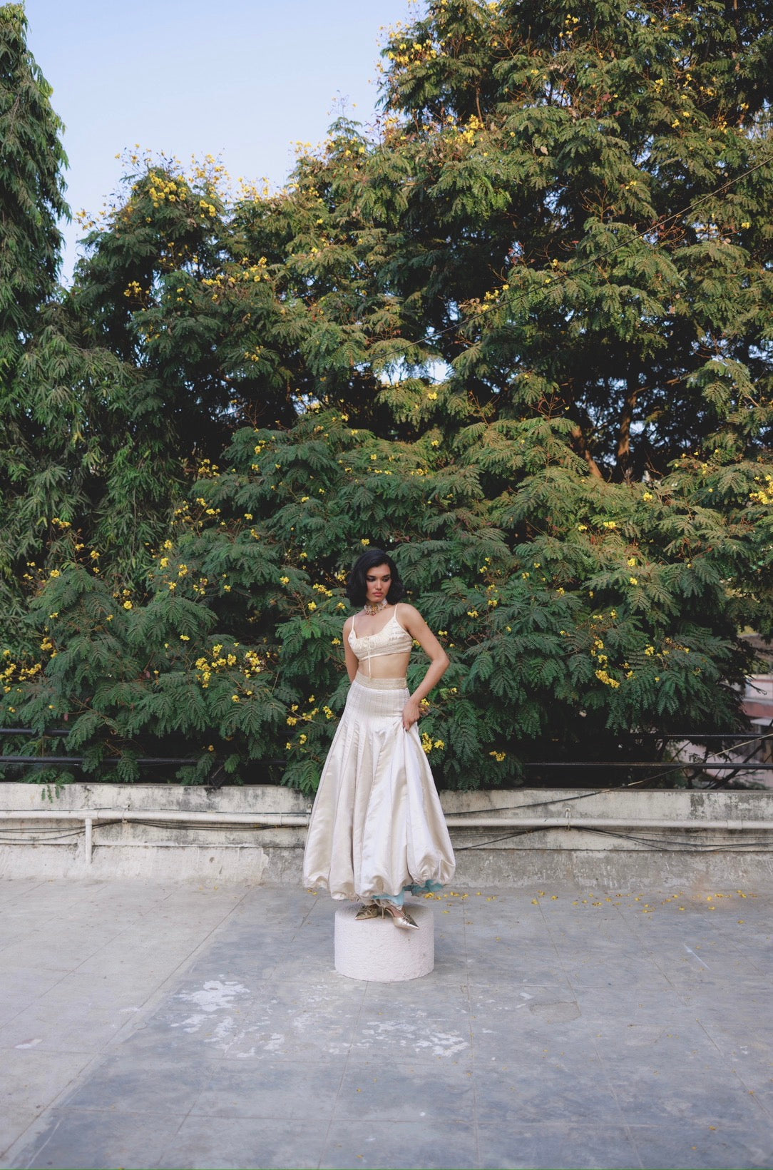 Misha choli in Butter yellow